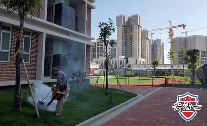 洞头区工厂工地除白蚁