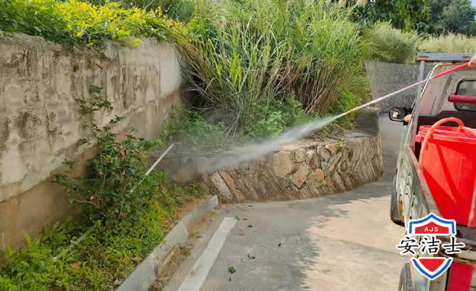 洞头区道路堤坝白蚁防治