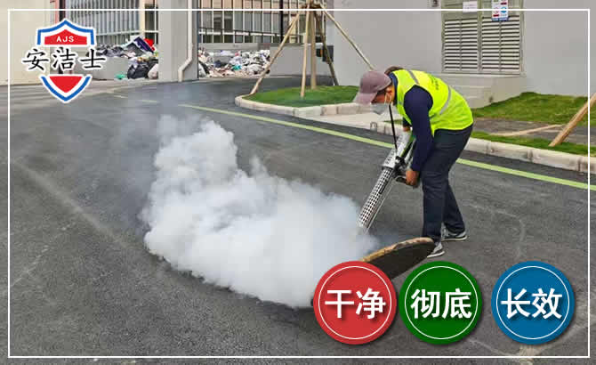 洞头区消杀防疫现场