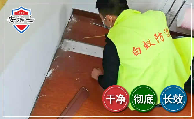 洞头区除四害现场