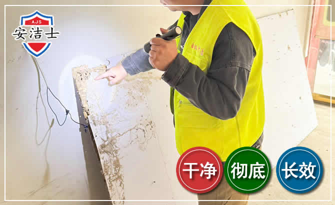 洞头区除白蚁现场